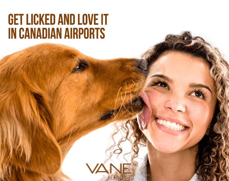 Airport therapy dogs Canada
