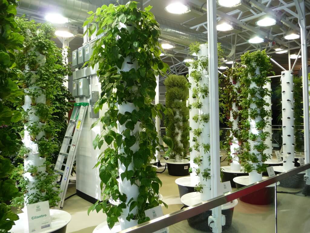 Chicago O'Hare Airport aeroponic gardens