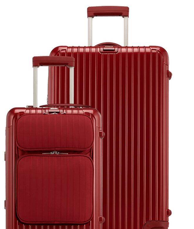 suitcase inside straps