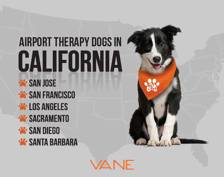airport therapy dogs california