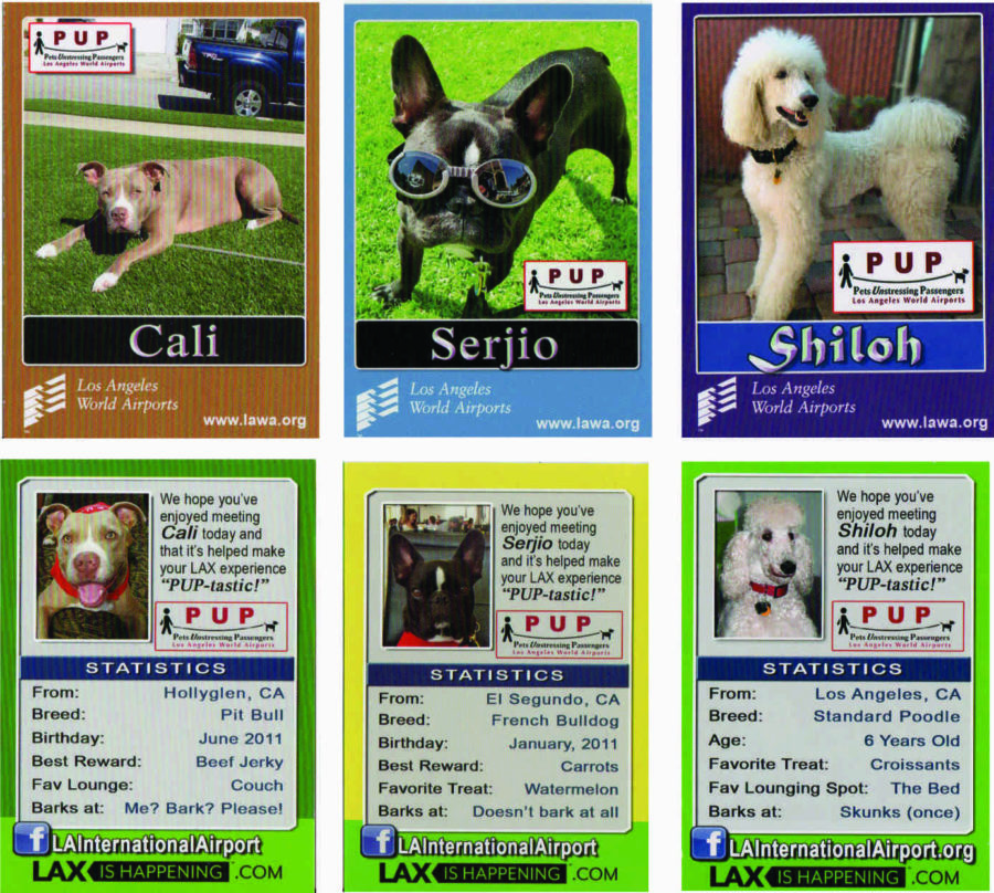 LAX Airport Therapy Dogs Check out their unleashed love