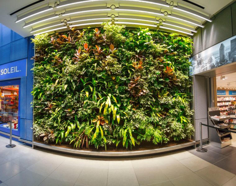 Montreal Airport Green Wall