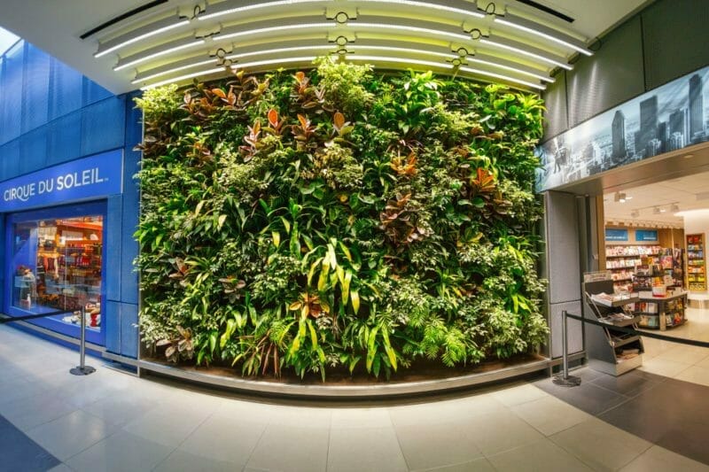 Montreal Airport Green Wall