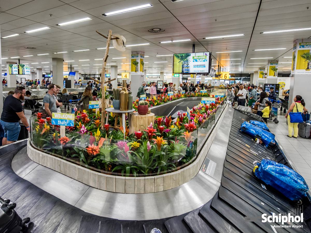 Indoor park at Amsterdam Airport. The Greenery of Schiphol Airport: Go on an Airport Garden Adventure - Vane Airport Magazine - schiphol airport gardens