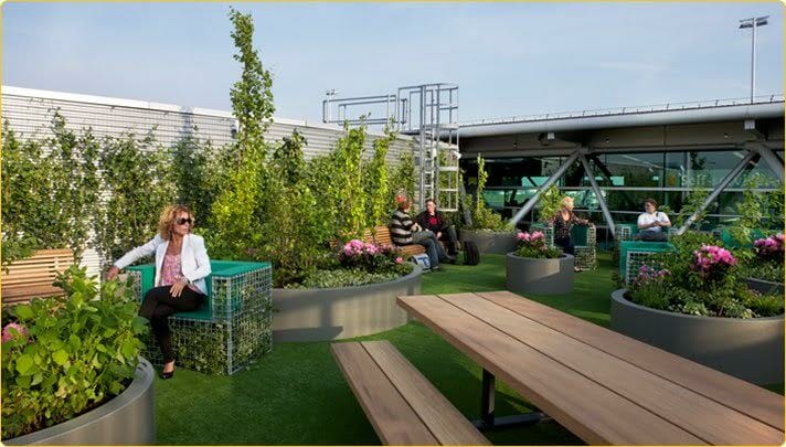Outdoor rooftop park at Amsterdam Airport. The Greenery of Schiphol Airport: Go on an Airport Garden Adventure - Vane Airport Magazine - schiphol airport gardens