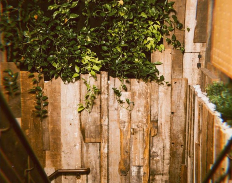 Must-Try Wellness Experiences at New York City’s Kollectiv