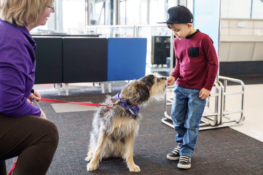 Airport_Dog_Montreal_Airport