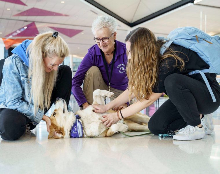 Airport_Therapy_Dog_Montreal