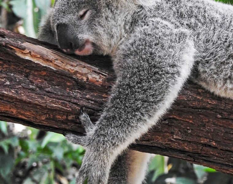 Perth Is The First Airport In Australia To Trial Sleeping Pods
