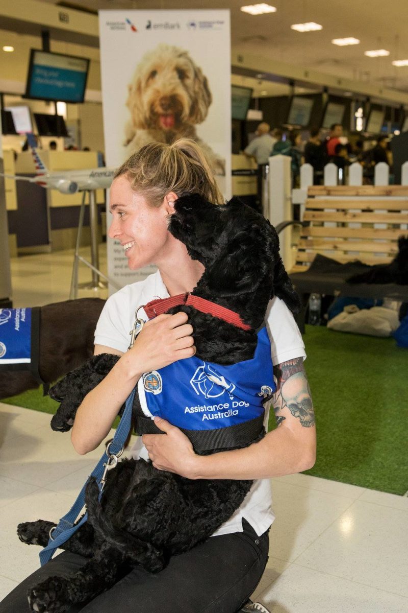 Airport_Therapy_Dog_Sydney_Airport