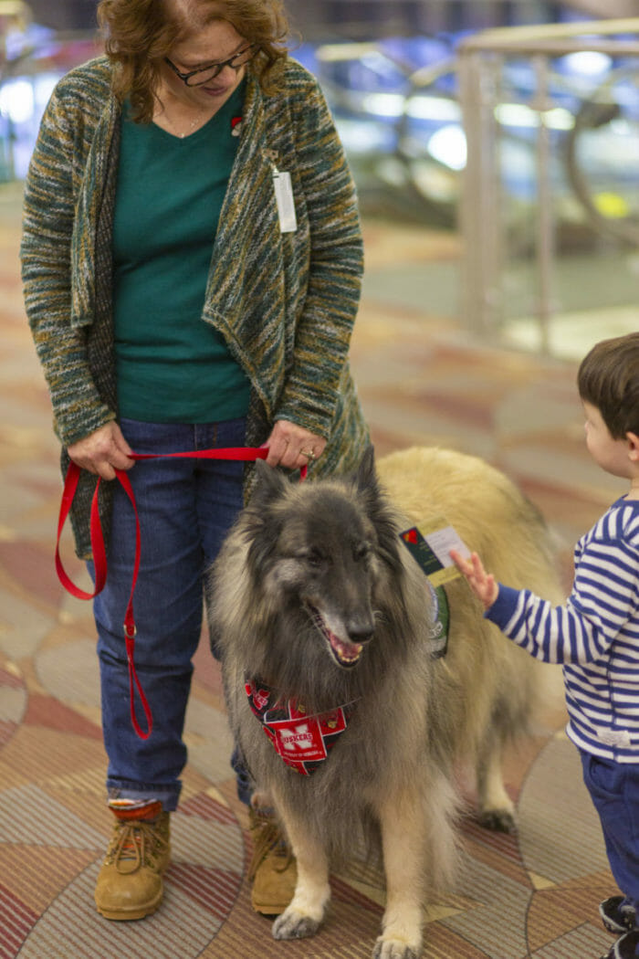 Lincoln_Airport_Therapy_Dog_1 Lincoln_Airport_Therapy_Dog_1