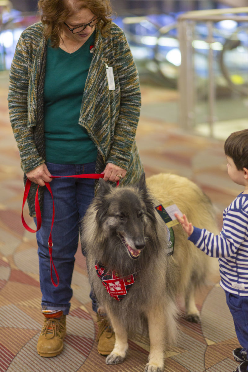 Lincoln_Airport_Therapy_Dog_1