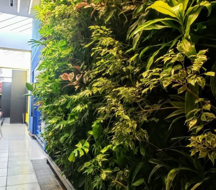 Montreal Airport green wall
