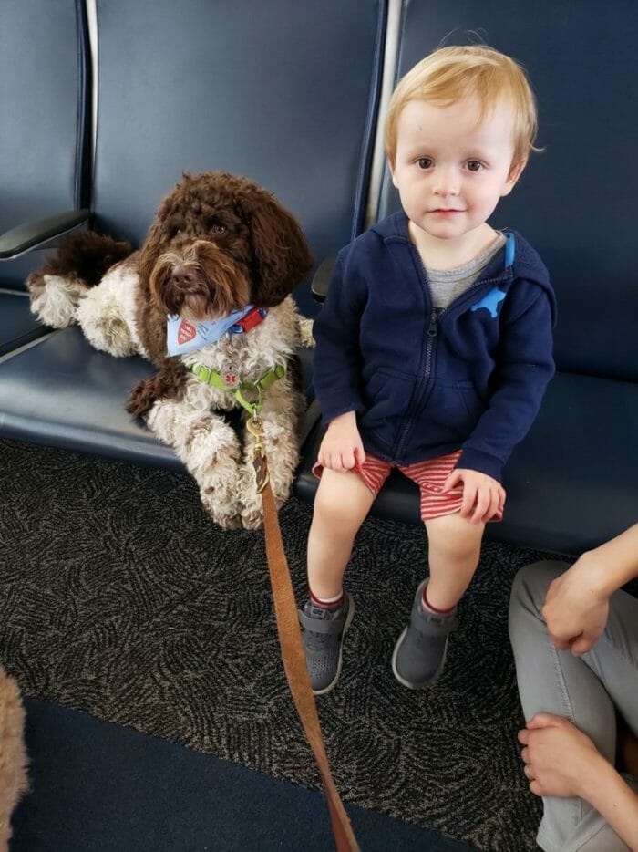 therapy_dog_harrisburg_airport