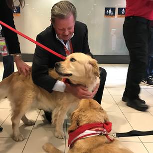 therapy dogs Ottawa International Airport