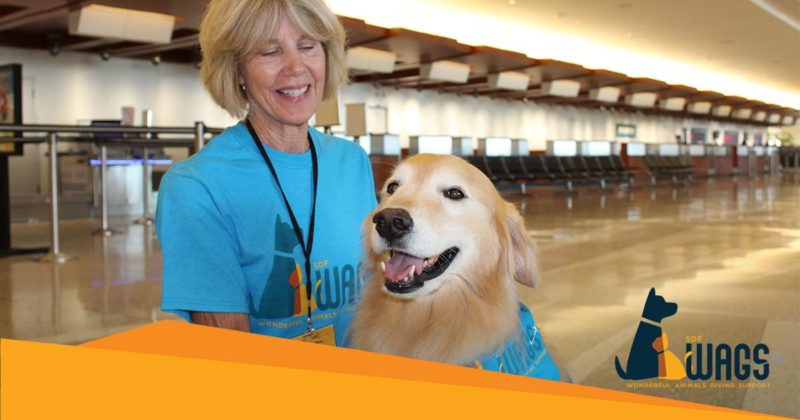 Louisville Muhammad Ali International Airport therapy Dog