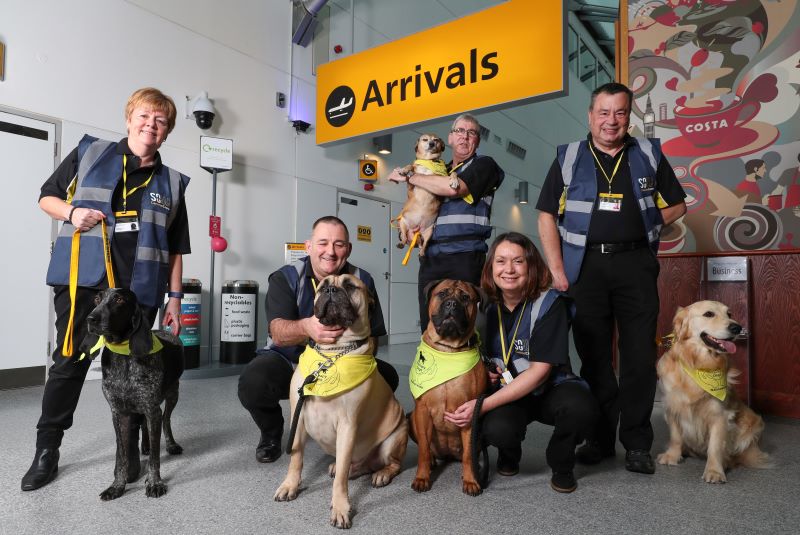 southampton airport therapy dogs