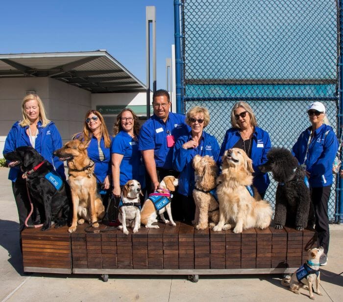 long_beach_airport_therapy_dogs