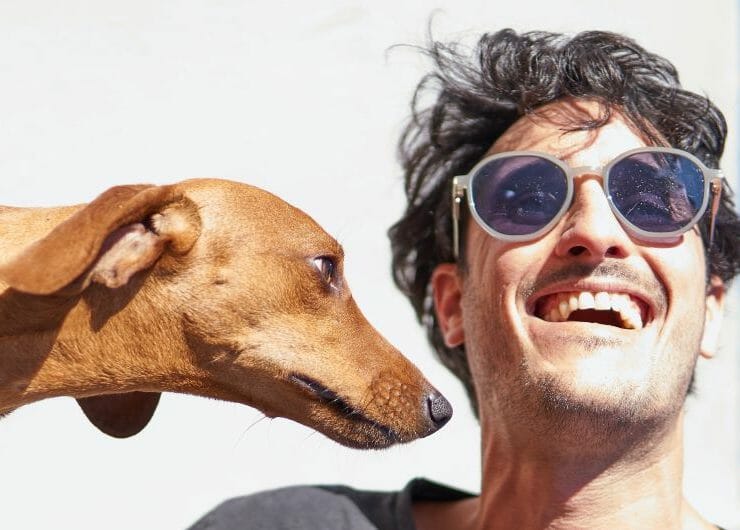 relaunch_therapy_dogs_airports_covid